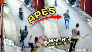 MALING DIHANTAM BALOK ! Para Maling Panik Saat Kepergok oleh Warga