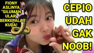 Tangan Ular Cobra Fiony JKT48