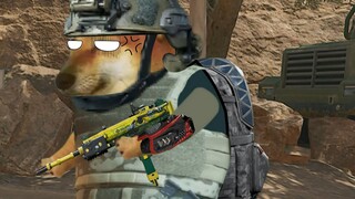 The most feared teammate