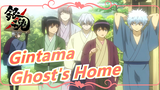 [Gintama] The Ghost's Home Is Nowhere