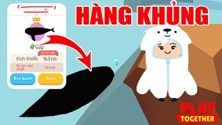 Cách Nhận FREE Trang Phục Gấu Cực Đẹp, TVT Hên Rùa Dính Siêu Phẩm Trong Bách Khoa | Play Together