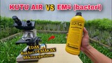 EKSPERIMEN: EM4 vs MIKROBA, lihat apa yang terjadi!