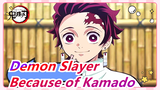[Demon Slayer] Her Eyes Light For the First Time Because of Kamado's Appearance