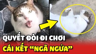 Bé mèo ĐÒI ĐI CHƠI nhưng lại BỎ CUỘC vì QUÁ MẬP 😂 | Yêu Lu