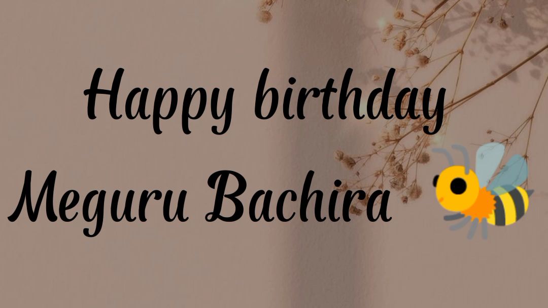 happy bday bachira !
