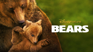 Bears (2014)