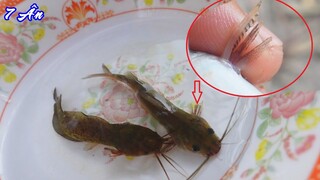 Xem Ngạnh Cá Chốt và tình hình em Lửa - 7 Ân