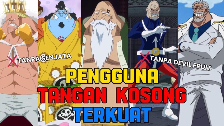 TANPA SENJATA TANPA DEVIL FRUIT | TOP PETARUNG TANGAN KOSONG DI | ONE PIECE