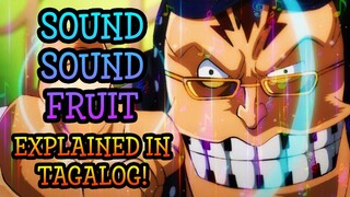 OTO OTO NO MI Explained in Tagalog! | One Piece Tagalog Analysis