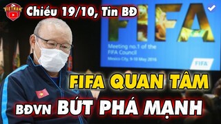 FIFA Mời HLV Park HỌP online, Xuất Ngoại sẽ giúp Bóng Đá Việt Nam Bứt Phá