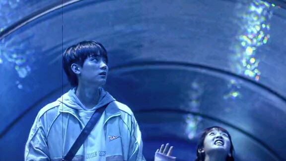 when I fly towards you aquarium scene