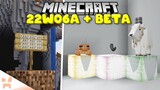 TAGS, NEW FROGLIGHTS, GOAT HORN CHANGES, & MORE! | Minecraft Snapshot 22w06a + Beta 1.18.20.25