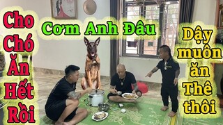 Koy Tattoo , Quang Bin phần cơm Chó cho NgọcRambo và cái kết…!