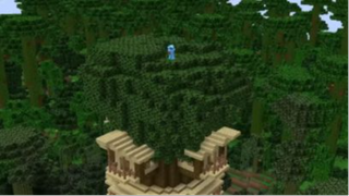 hoa sơn luyện kiếm #minecraft