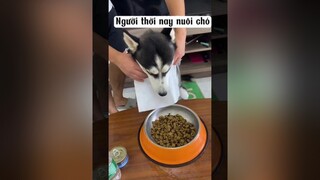 Các bạn thấy có đúng ko ? 😂 fyp dog feedingdog chó chó_cưng