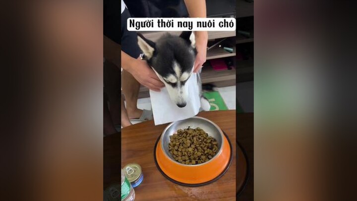 Các bạn thấy có đúng ko ? 😂 fyp dog feedingdog chó chó_cưng