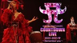 Ayumi Hamasaki - Countdown Live 2022-2023 A 'Remember you' [2022.12.31]