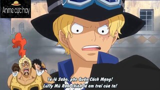 Sabo, Hỏa quyền đời tiếp theo #Animecuchay