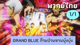 grand blue ก๊วนป่วนชวนบุ๋งบุ๋ง พากย์ไทย Ep.1/1