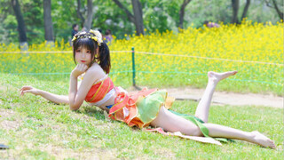 【Aki Autumn Sauce】Thank you for making 5w fans! Come and play in the rapeseed field with me~( ´▽` )ﾉ