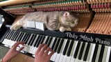 Piano woogie boogie massages for meow