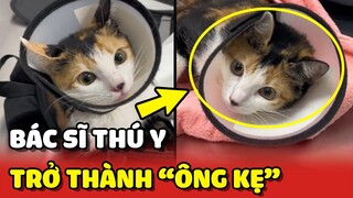 Hành trình Bác Sĩ Thú Y trở thành "ÔNG KẸ" của các Hoàng Thượng 😂 | Yêu Lu