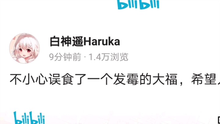 和呜米同病相怜，但愿豹也没事吧…【白神遥Haruka】