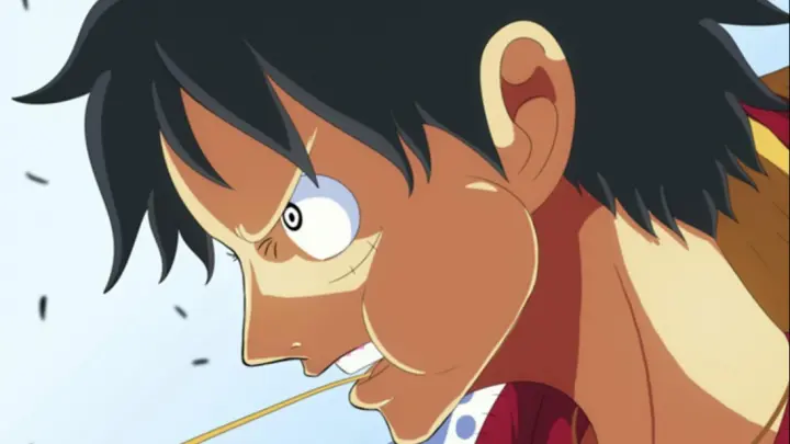 [Anime] The Feast of "One Piece"