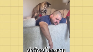 เพื่อนตัวน้อย สัตว์เลี้ยงแสนซน : น่ารักจนใจละลาย