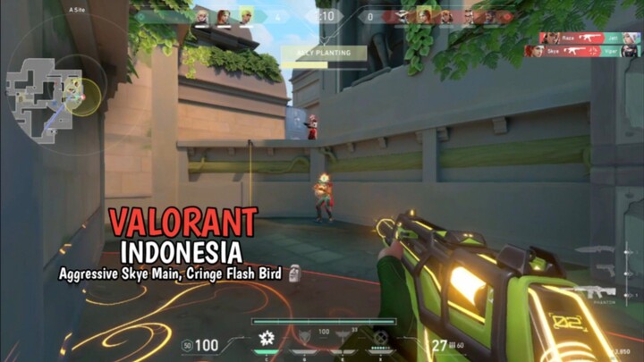 Aggressive Skye Main, Cringe Flash Bird 🗿 | Valorant - INDONESIA