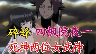 《死神队传》女性的代表！死神的两位女武神！四枫院夜一、碎蜂的姐妹故事！