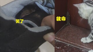 Wanita itu menemukan seekor tikus yang menangis di sepatunya.Tikus itu berkata: Kakak Kucing memaksa