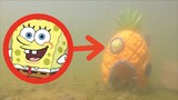 I FOUND SPONGEBOBS HOUSE IN REAL LIFE! *We Saw Him Too!!*