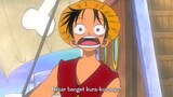 Luffy Masih Fokus Ngeliat Kura kura!