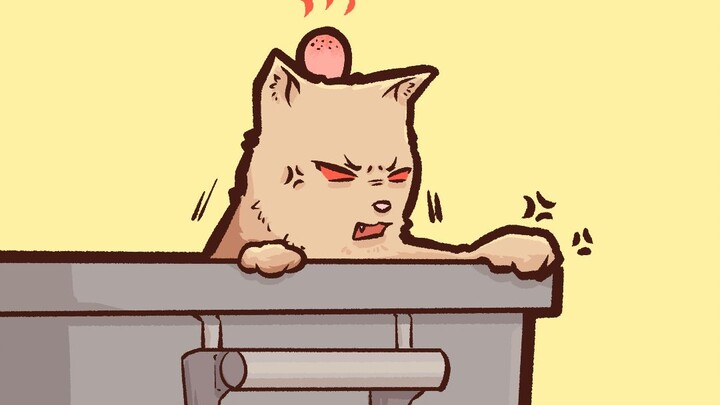 Passers-by threw garbage into the trash can, and a cat came out of it