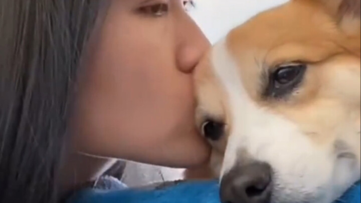 The dog's reaction after being kissed suddenly