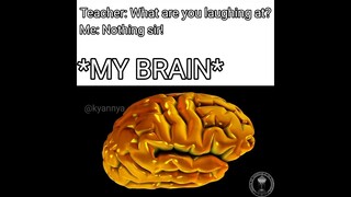 My brain