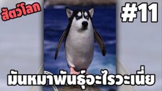 รวมคลิปตลกๆ : นี่มันหมาพันธุ์อะไรกันละเนี่ย!!?