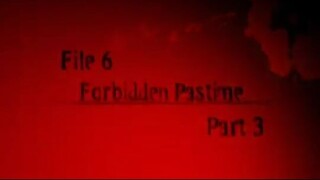 16. File 6 forbidden past time part 3