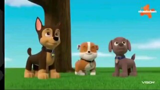 paw patrol Musim 8 Episode 3 dan Episode 4 Bahasa indonesia Vision+