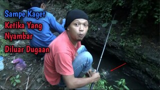 Cuma Disini Mancing Ikan Red Devil Di Selokan Ini Bonusnya Bikin Senang