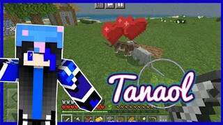 Minecraft PE Survival Series Ep 05 | Sana all may Jowa!