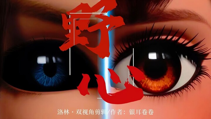 【野心|洛林双视角】“在黑暗里我们不需要怜悯，在正义里有回答不了的问题”