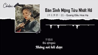 [Vietsub + Pinyin] Bán Sinh Mộng Tửu Nhất Hồ (半生梦酒一壶) - Quang Đầu Hoa Hạ