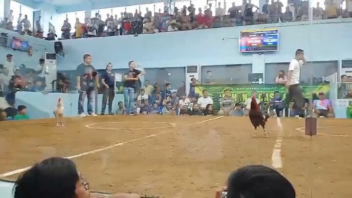San mateo second fight win roundhead