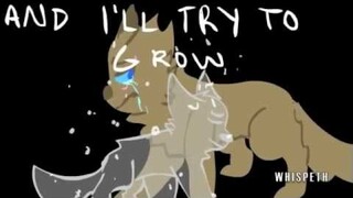 some kind of miracle;; [[LONGTAIL PMV]]