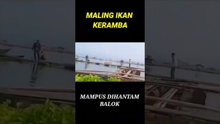 MALING IKAN SATU PERAHU, MAMPUS DIHANTAM BALOK #shorts