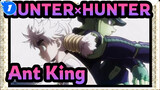 [HUNTER×HUNTER] Ant King Is Obsessed With Chess_B1
