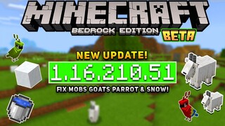 UPDATE! MCPE 1.16.210.51 BETA - XBOX LIVE | FIX MOBS GOATS, PARROT & SNOW + [Changelog]