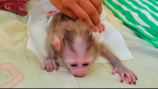 Keep Hygiene!! Cleans up a diaper for tiny adorable Luca keeps him clean & healthy